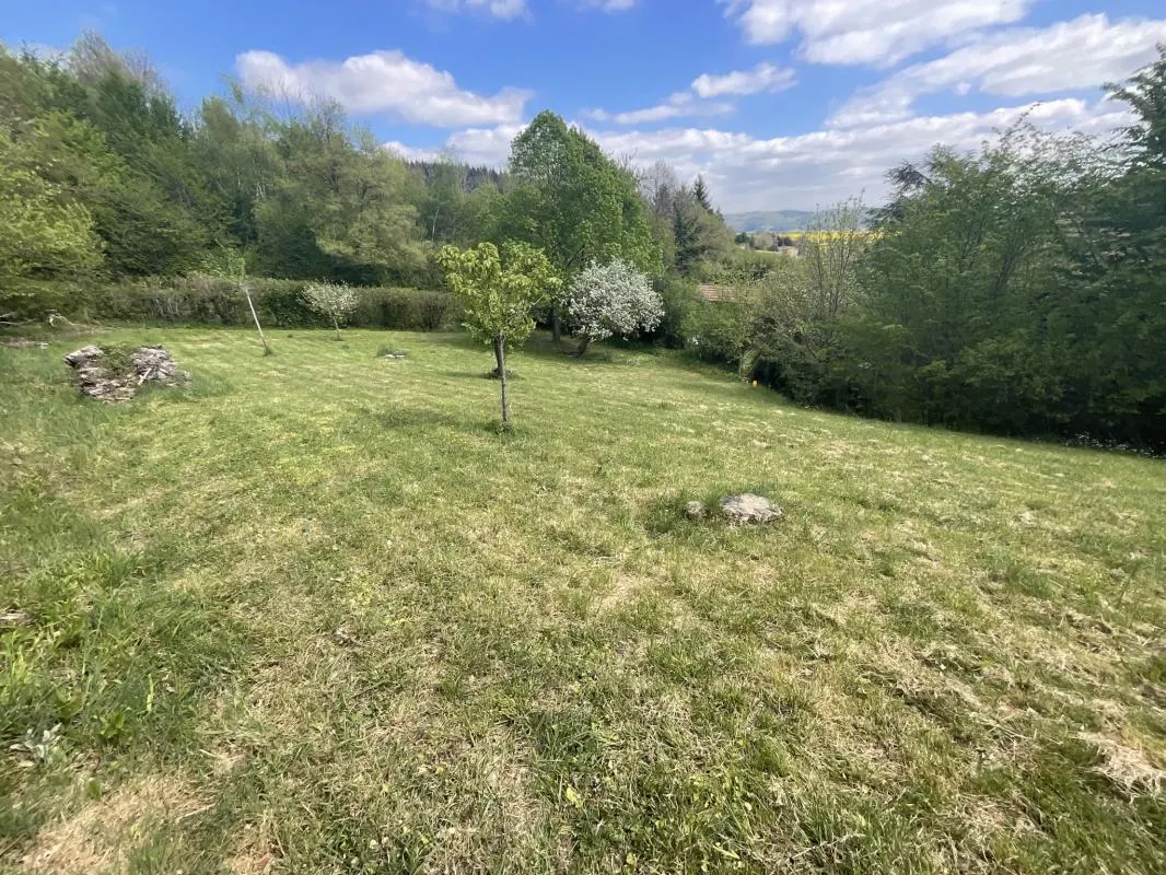 Terrain 981m2 : photo 1 sur 3