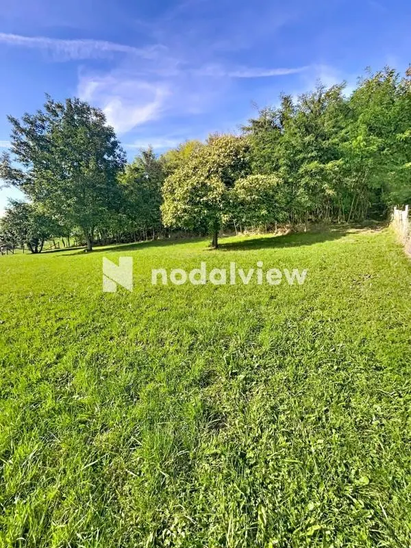 Terrain 2253m2 : photo 3 sur 4