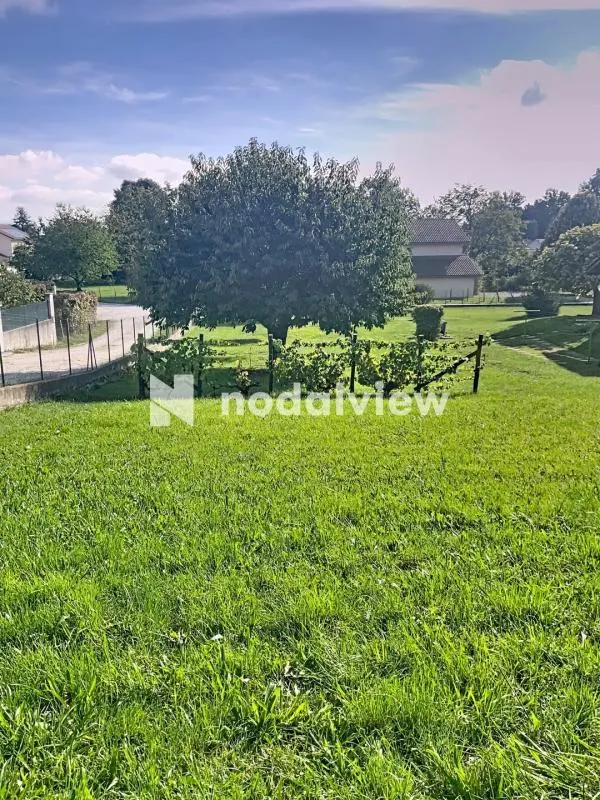 Terrain 2253m2 : photo 4 sur 4