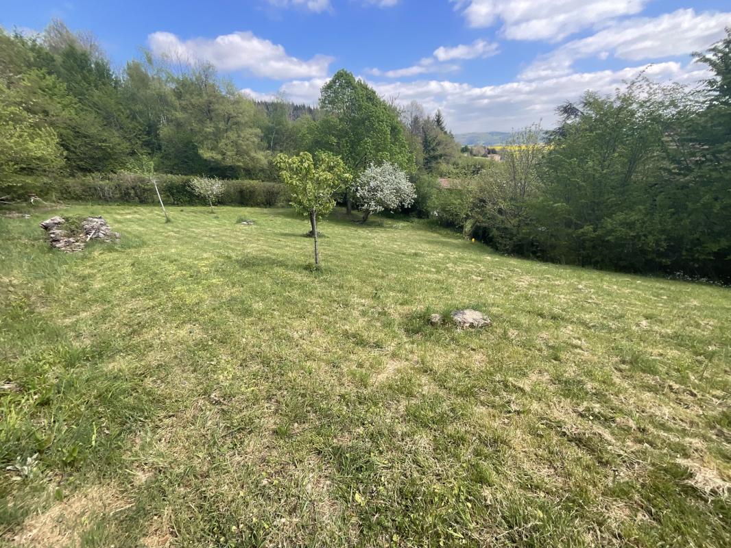Terrain 981m2